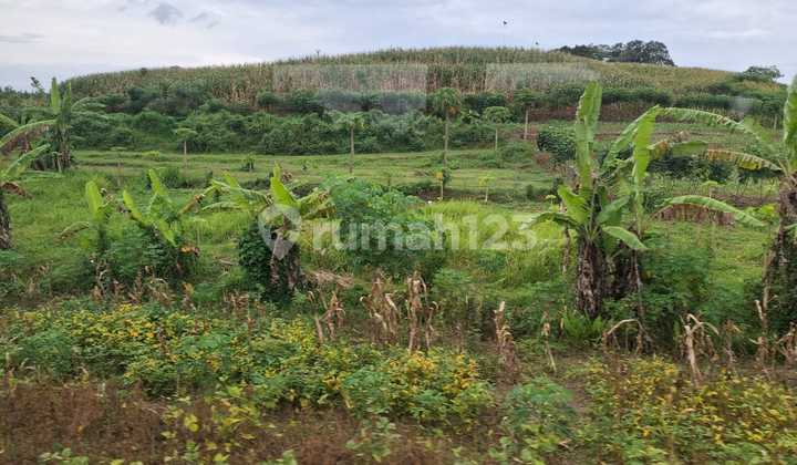 tanah hook posisi sangat bagus Setra Duta Bandung Utara harga nego
