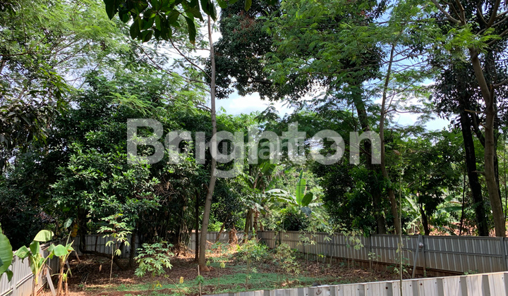 TANAH KAMPUNG LEMBUR GUNUNG PUTRÌ KABUPATEN BOGOR SELANGKAH KE JATIASIH BEKASI TANAH KAMPUNG LEMBUR GUNUNG PUTRÌ KABUPATEN BOGOR SELANGKAH KE JATIASIH BEKASI