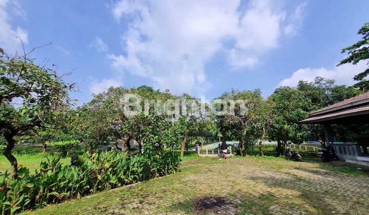 3.7 Hectare Land in Jati Asih, Jaka Mulya, Bekasi with a 1 Hectare Lake for Business or Housing Development