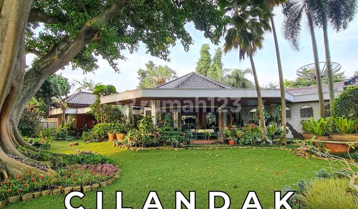 Rumah Plus Tanah 5500m2 Di Cilandak Jakarta Selatan