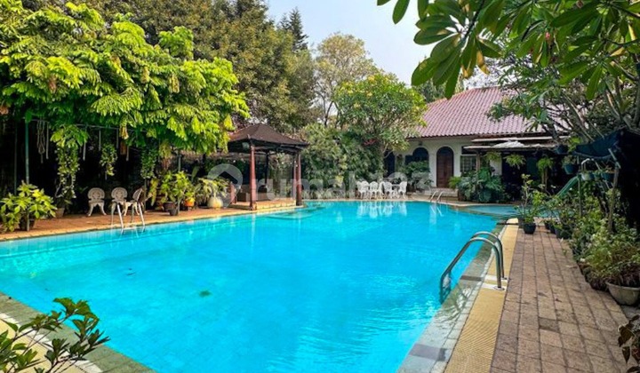 Rumah Luas 8000m2 Hitung Tanah Dijual Di Pejaten Barat Kemang Jakarta Selatan 2