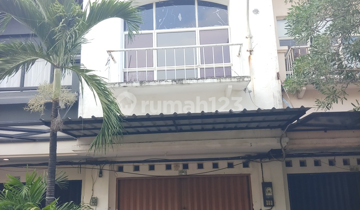 Ruko 2,5 lt hdp jalan di Mutiara Taman Palem blok B, Cgkng, JB 