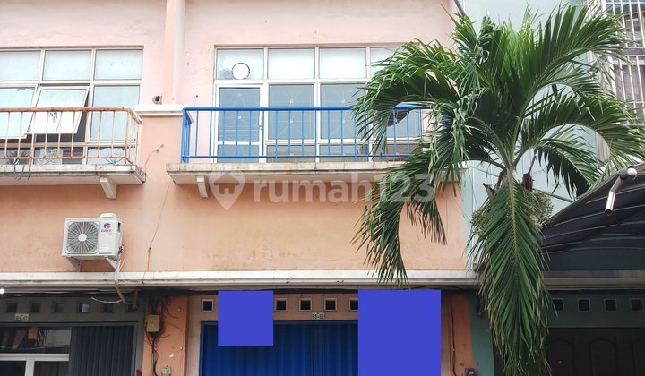 Ruko 2,5 LT di Mutia Taman Palem Blok B, Cengkareng, Jakbar Ruko 2,5 LT di Mutia Taman Palem Blok B, Cengkareng, Jakbar