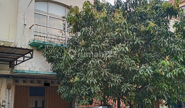 Ruko 3 lt di Mutiara Taman Palem blok B, Cengkareng, Jakbar 1