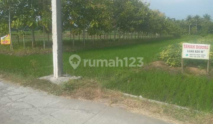 Tanah Strategis Di Jalan Raya Wates Kulin Progo Yogyakarta