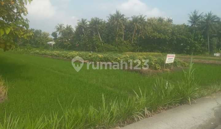 Tanah Strategis Di Jalan Raya Wates Kulin Progo Yogyakarta