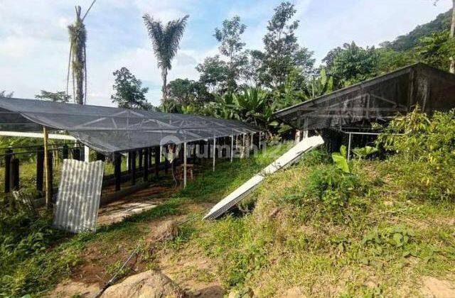 Tanah ambarawa cocok buat wisata atau usaha air kemasan 4Ha 4