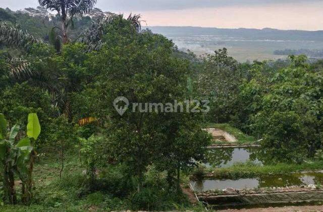 Tanah ambarawa cocok buat wisata atau usaha air kemasan 4Ha 2