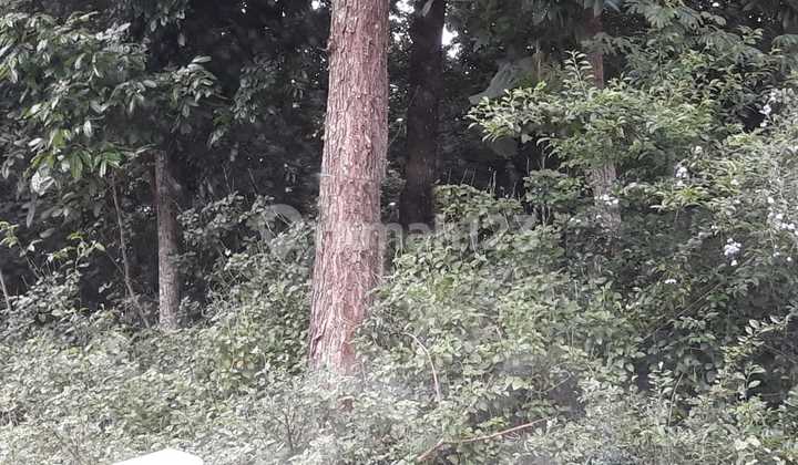 Tanah Gunung Pati Raya Ungaran, Gunung Pati Murah Permeter 2