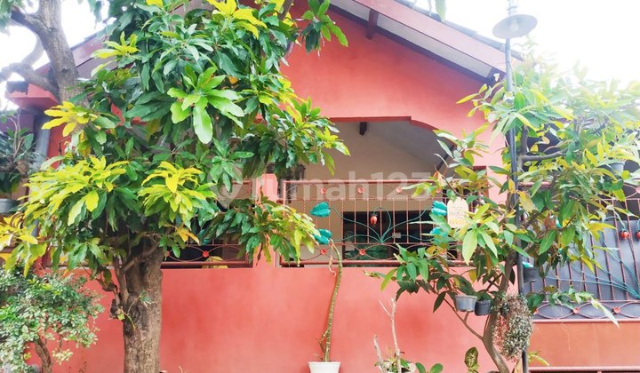 Siap Huni Bangunan Terawat Mummer Rumah Tugurejo Jl Tugurejo 2