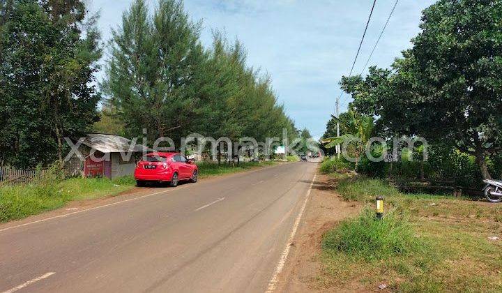 Tanah Banyu Putih Jl Raya Sugandu Batang Zona Industri, Strategis 2