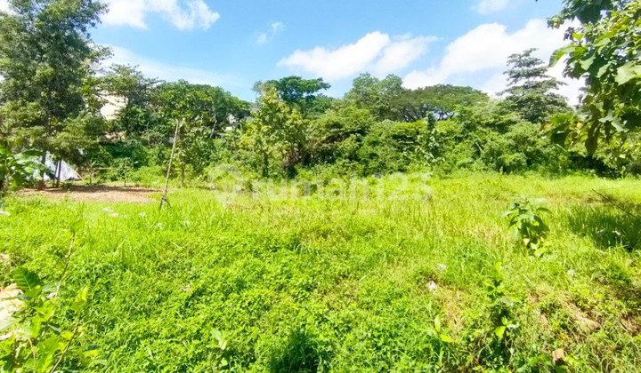 Tanah Gayamsari, Pandean Lamper Nego Strategis Cocok Untuk Invest