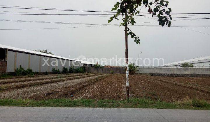 Tanah Mranggen, Raya Kuripan Luas Lokasi Strategis 3