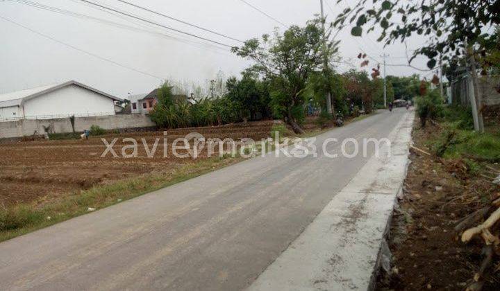 Tanah Mranggen, Raya Kuripan Luas Lokasi Strategis 4