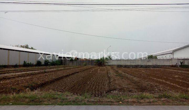 Tanah Mranggen, Raya Kuripan Luas Lokasi Strategis 7