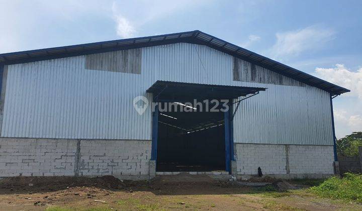 Gudang Kendal, Kaliwungu Lokasi Luas Lapang Kondisi Masih Ok 1