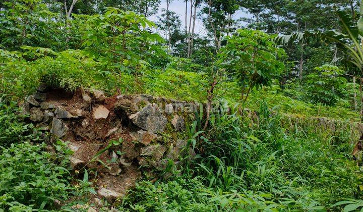 Tanah di Ungaran Dengan Luas 250m2 Dekat Kampus Dan Pabrik 2