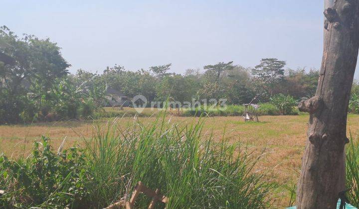 Tanah di Raya Kendal semarang Luas 5000m2 Masih Bisa Nego  1