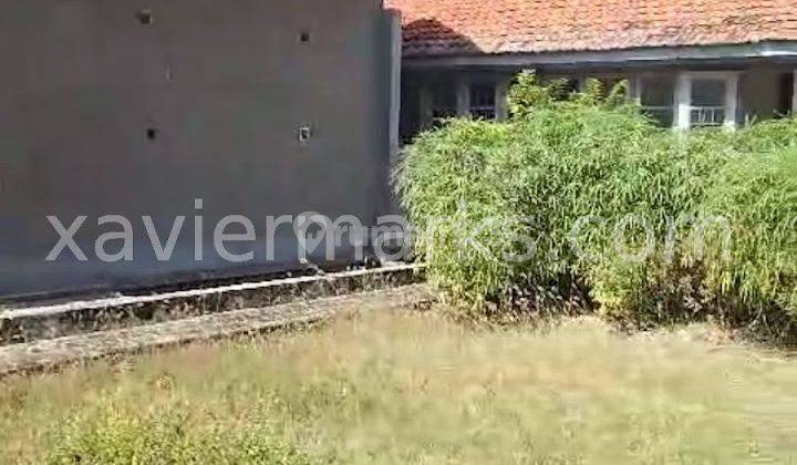 Rumah Tinggal Dan Rumah Burung Walet Lokasi Juwana pati 2