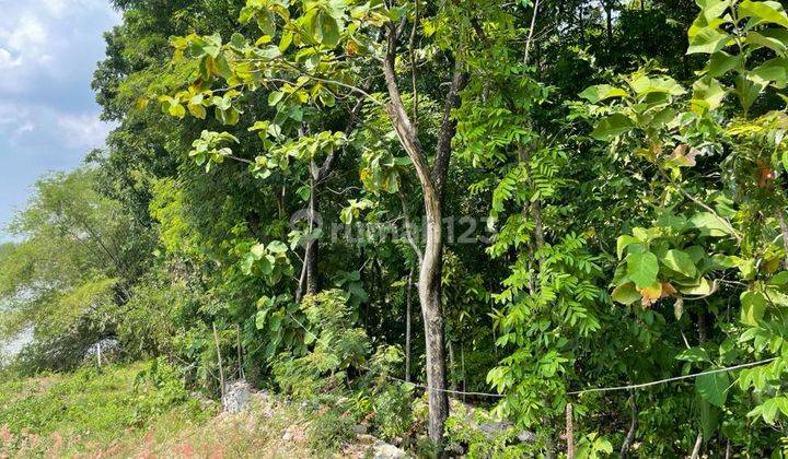 Tanah Kotak Hook Kawasan Wisata Ngemplak Boyolali Dekat Bandara 1