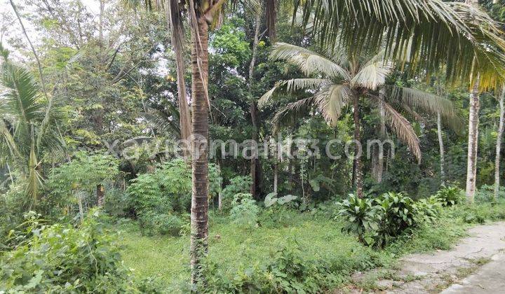 Dijual Tanah di Kopeng Cocok Untuk Vila  2