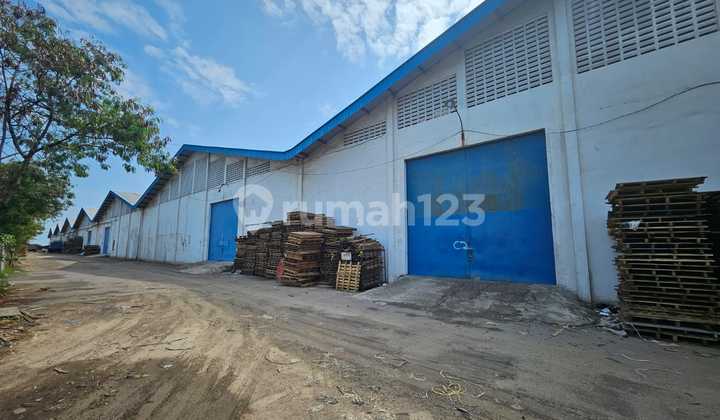 Warehouse 8 Units, Terboyo Industrial Area, Semarang Warehouse 8 Units, Terboyo Industrial Area, Semarang