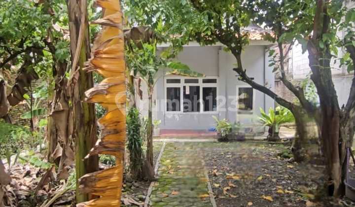 Dijual Rumah di Bawah NJOP Rumah Pinggir Jalan Raya Semarang