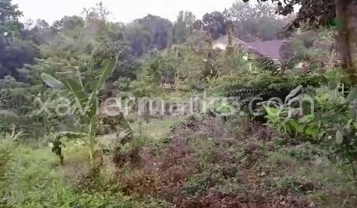 Jual Tanah 5.276 m2 dg harga 50% dibawah PBB di Sukorejo, Gunungpati Semarang