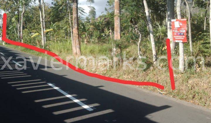 Tanah Zona Merah Untuk Industri Ampel Boyolali  2