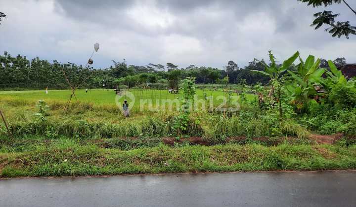 Tanah Sawah Zona Kuning SHM di Gunung Pati Semarang 2