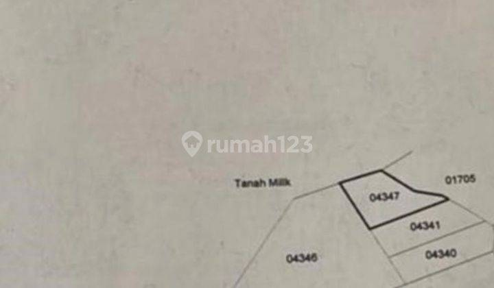 Tanah Luas 3.351 m2 Di Jl Raya Pujung Kaja, Tegalalang Ubud Bali 2