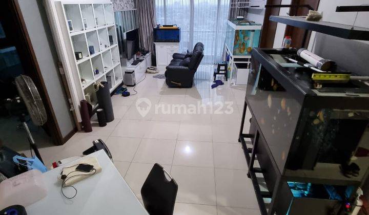 Nego Sampai Deal Termurah Apartment St Moritz Royal Suite Tower 3