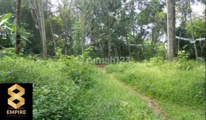 Tanah di jl Bhayangkara, Gunung Puyuh, Sukabumi Luas 6387 m2 5