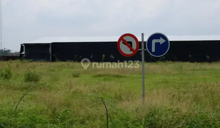 Tanah 2 Ha berikut Kandang Ayam Modern di Indramayu, Jawa Barat 4