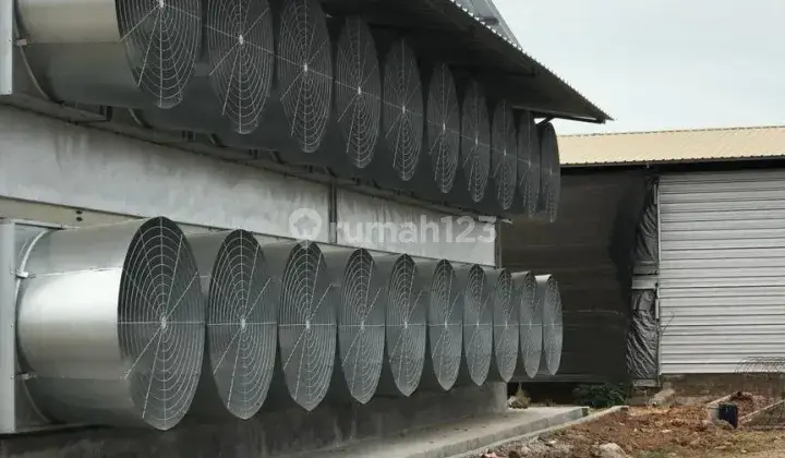 Tanah 2 Ha berikut Kandang Ayam Modern di Indramayu, Jawa Barat 6