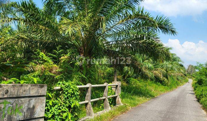 Tanah 2.5 Ha di Koba Giri Maya, Pangkalpinang Bangka  2