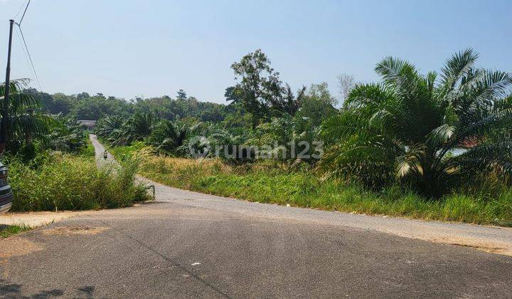 Tanah 2.5 Ha di Koba Giri Maya, Pangkalpinang Bangka  1