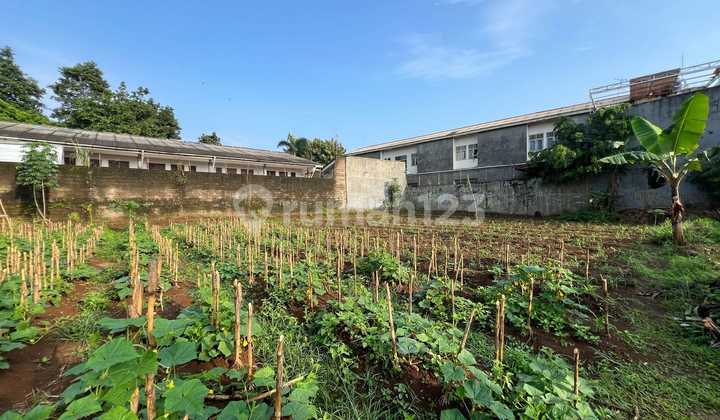 Tanah Luas 2000 M2 Di Bogor