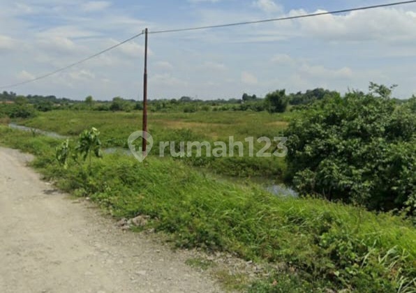 Jual Cepat Tanah 2.7 Ha Di Balaraja Timur, Cikupa Jual Cepat Tanah 2.7 Ha Di Balaraja Timur, Cikupa