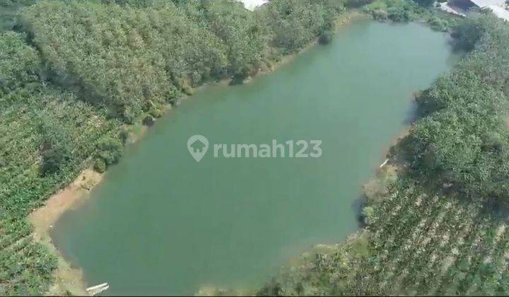 Lahan 60 Ha Di Desa SUMURKONDANG, KARAWANG TIMUR, JABAR 2