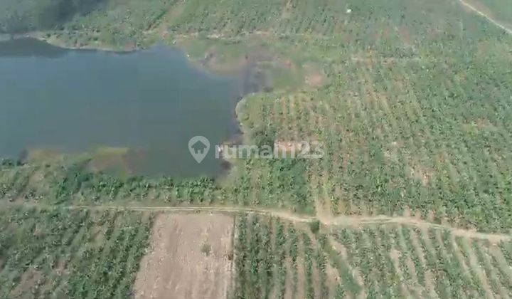 Lahan 60 Ha Di Desa SUMURKONDANG, KARAWANG TIMUR, JABAR 1