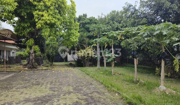 Dibawah NJOP Cocok Town House 2