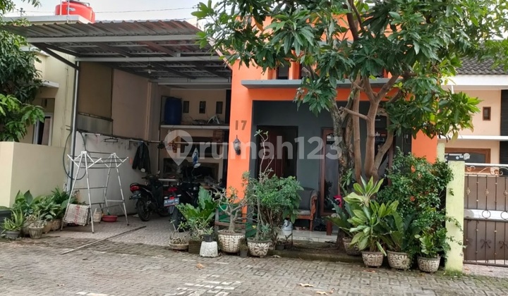 Rumah Bagus Siap Huni Di Cluster Tlogomulyo Pedurungan 1