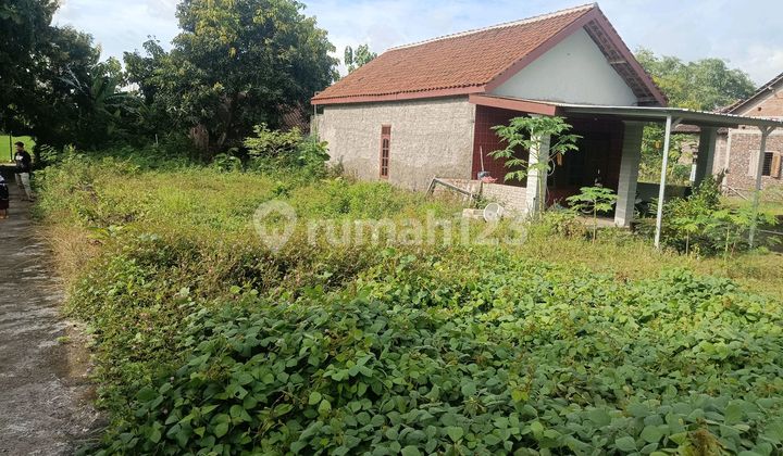 Hah?! Cuma 55 Juta Udah Dapet Tanah di Sukoharjo?