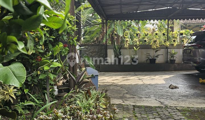 Tanah Binus Rumah Tengah Kota Cocok Buat Investor & Developer
