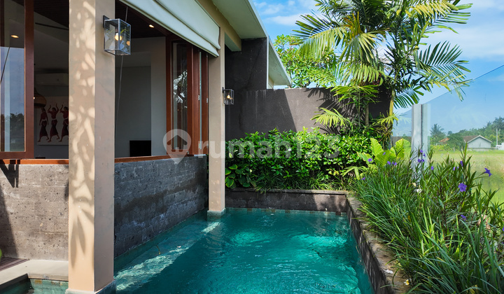 Villa Cantik Ubud Bali Passive Income