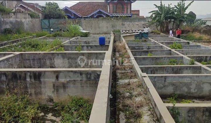 Kavling Bisa di Jadikan Kolam Ikan di Cihideung, Bandung Barat 1