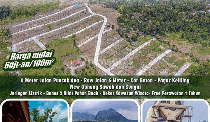 KAVLING MURAH BERKEBUN DAN MENGHASILKAN NUANSA ALAM PUNCAK 2 6