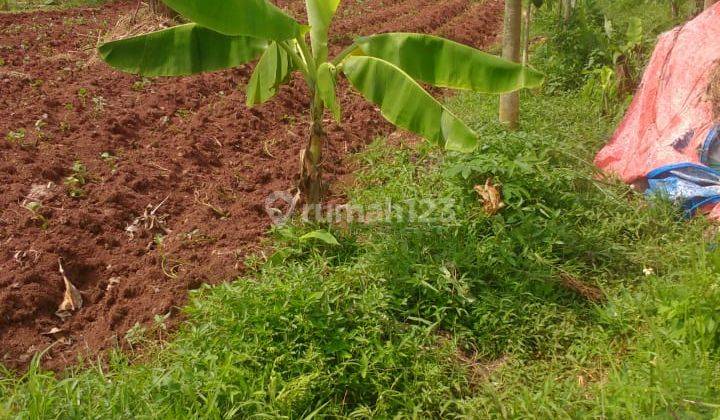 Tanah Kavling Bri 457 M2 Dekat Sekolah Al Azhar Dan An Nazm 1