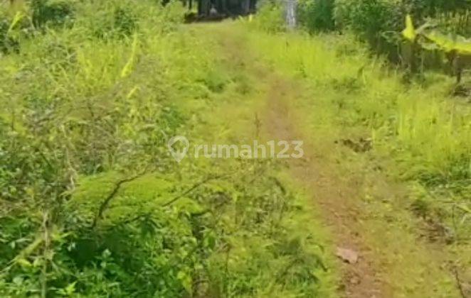 Tanah Kavling Bri 457 M2 Dekat Sekolah Al Azhar Dan An Nazm 4